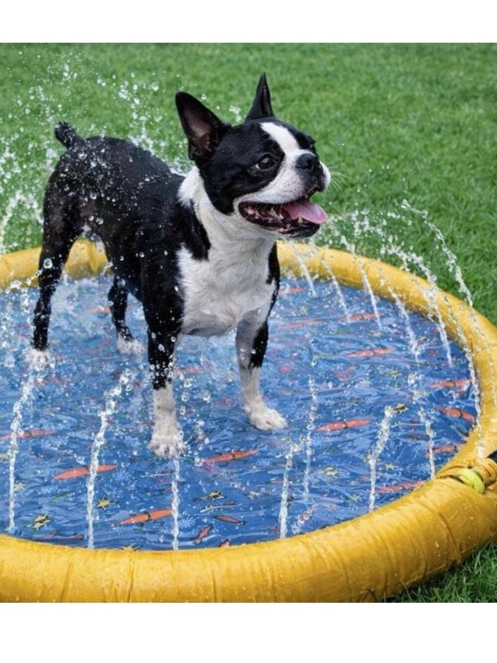 LIFE IS GOOD Sprinkler Splash Mat for Small-Medium Dogs - NEW